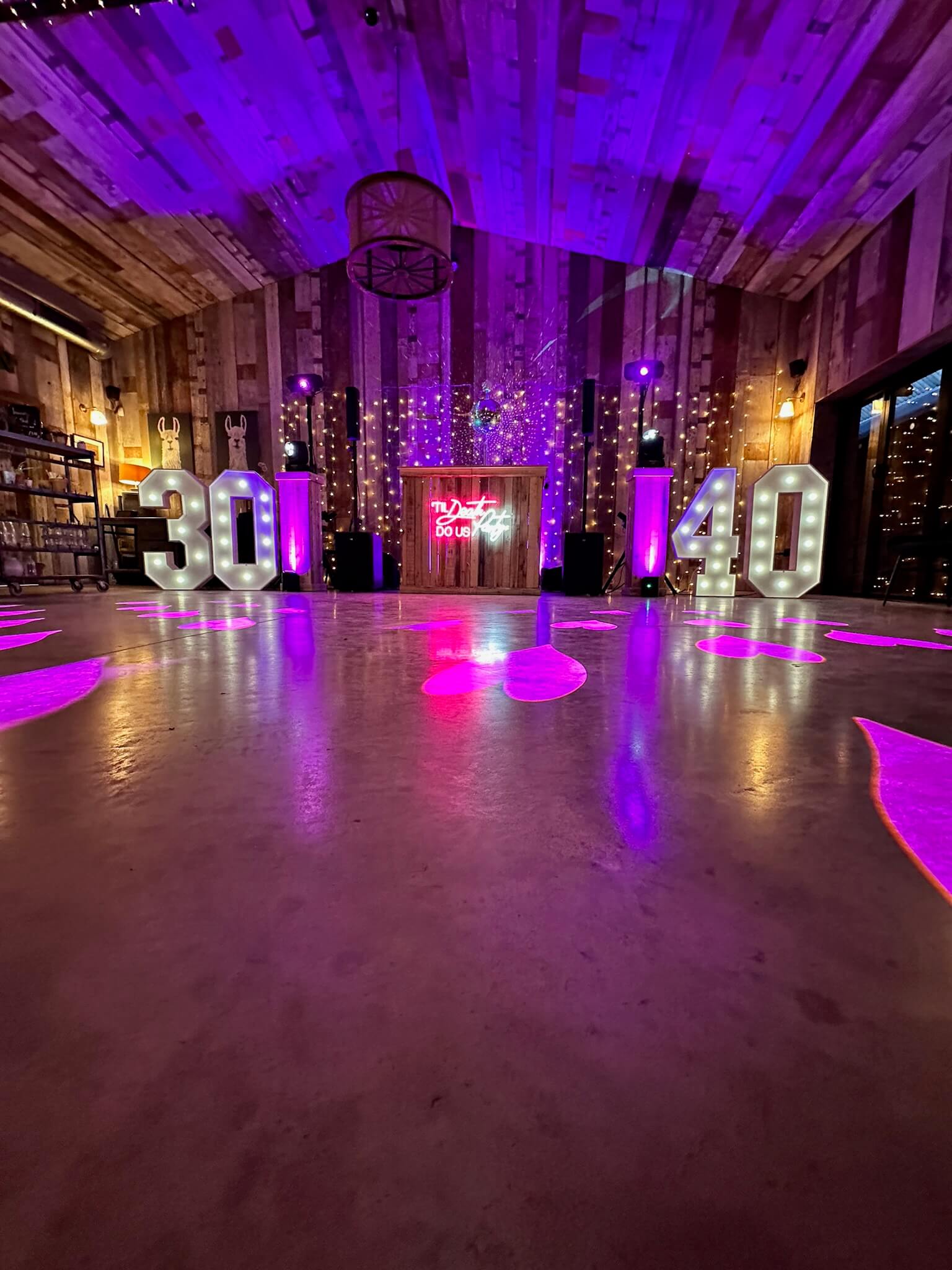 Professional DJ Services 9